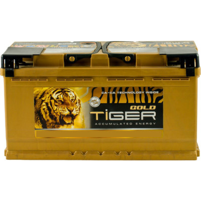 Автомобильный аккумулятор 100 Аh/12V Gold Tiger Euro Автомобильный аккумулятор 100 Аh/12V Gold Tiger Euro